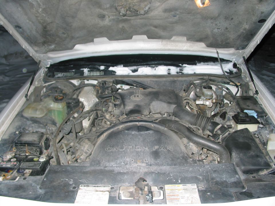 engine bay with hoses, fan shroud, and battery visible