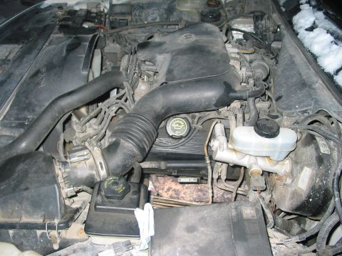 1996 Ford Crown Victoria - Engine bay components are visible, including hoses and fluid reservoirs, with snow on the windshield.