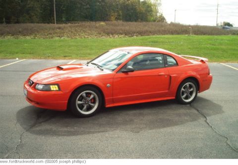 2004 Ford Mustang - This orange 2004 Ford Mustang coupe is viewed from a three-quarter front angle, showing its distinctive hood scoop and rear spoiler.