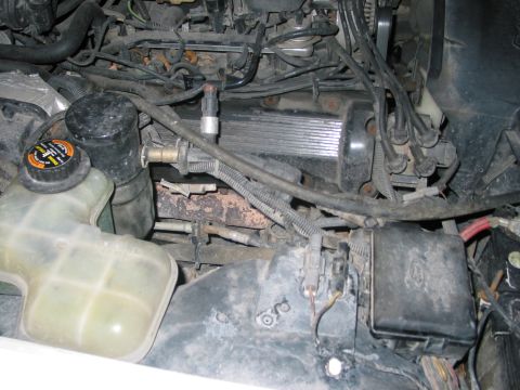 1996 Ford Crown Victoria - Close-up view of a vehicle's engine compartment, showing the coolant reservoir and numerous engine components.
