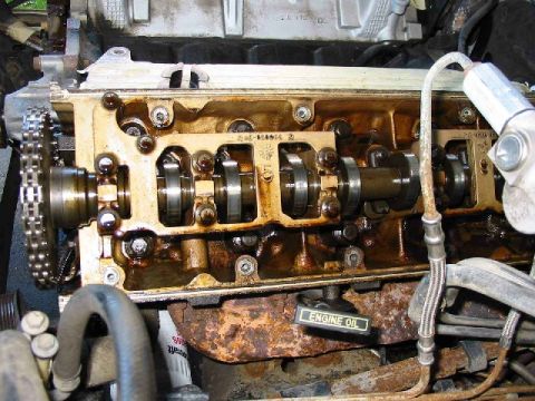 1996 Ford Crown Victoria - Engine valve train components, including camshafts and timing chain, are shown in this close-up view.
