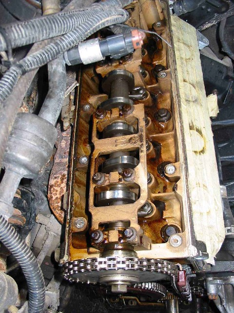 1996 Ford Crown Victoria - The internal components of an engine, including the camshaft and timing chain, are shown in this close-up view.