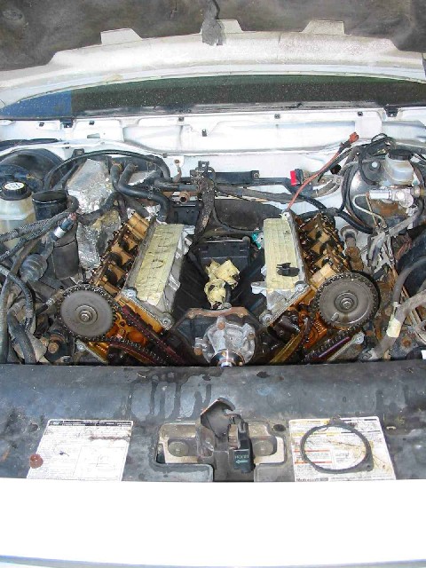 1996 Ford Crown Victoria - The engine bay of a 1996 Ford Crown Victoria shows a V8 engine with oil leaks and a timing chain.