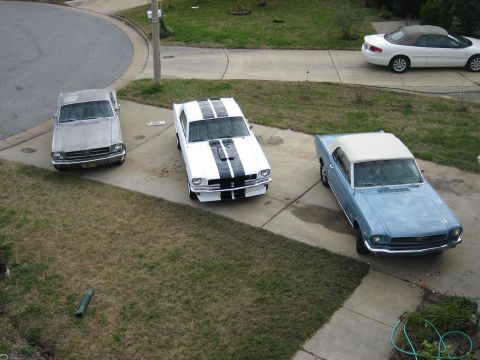 1965 Ford Mustang photo