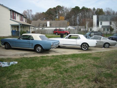 1965 Ford Mustang photo