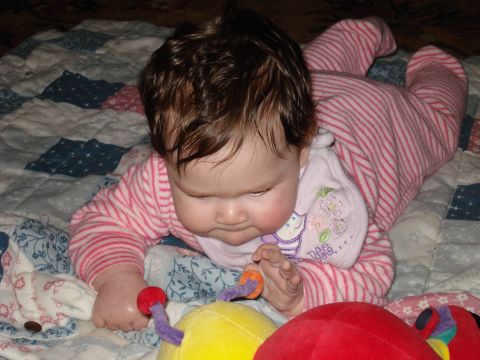 2000 Ford Crown Victoria - A baby is on their stomach on a quilt, reaching for a toy caterpillar.