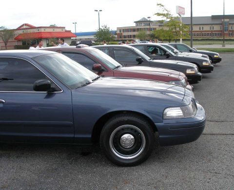 1998 Ford Crown Victoria - A row of Ford Crown Victoria sedans parked side by side in a shopping-center lot, with a slate-blue car on chrome-ringed steel wheels neare…