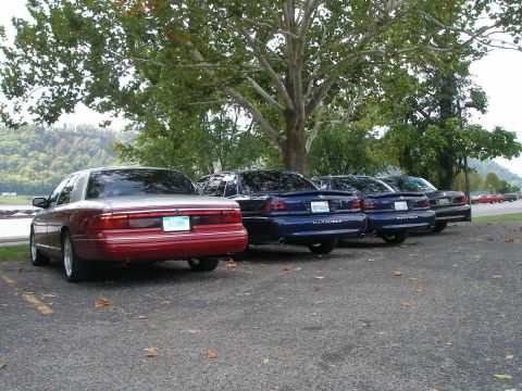 1998 Ford Crown Victoria - Rear three-quarter view of a row of full-size Mercury sedans parked nose-in under sycamore trees, led by a maroon Grand Marquis with a full…