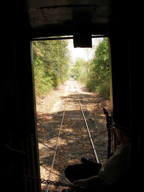 1998 Ford Crown Victoria - View out the open rear doorway of a moving railroad passenger car, looking back down a single leaf-covered track running straight through d…