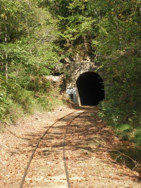 1998 Ford Crown Victoria - A leaf-covered single railroad track curves through a wooded cut toward the dark arched stone portal of a railway tunnel. No vehicle is vis…