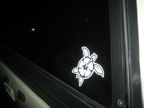 1990 Ford Bronco - white hibiscus-flower turtle decal applied to a dark side window of a vehicle photographed at night.