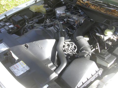 1997 Ford Crown Victoria - The engine bay of a vehicle is shown, with various components and hoses clearly visible under the hood.