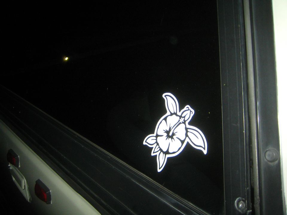 White turtle sticker with hibiscus flower on a dark window
