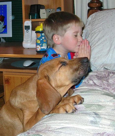 1972 Ford Ranchero - A young boy and his dog appear to be praying together on a bed.