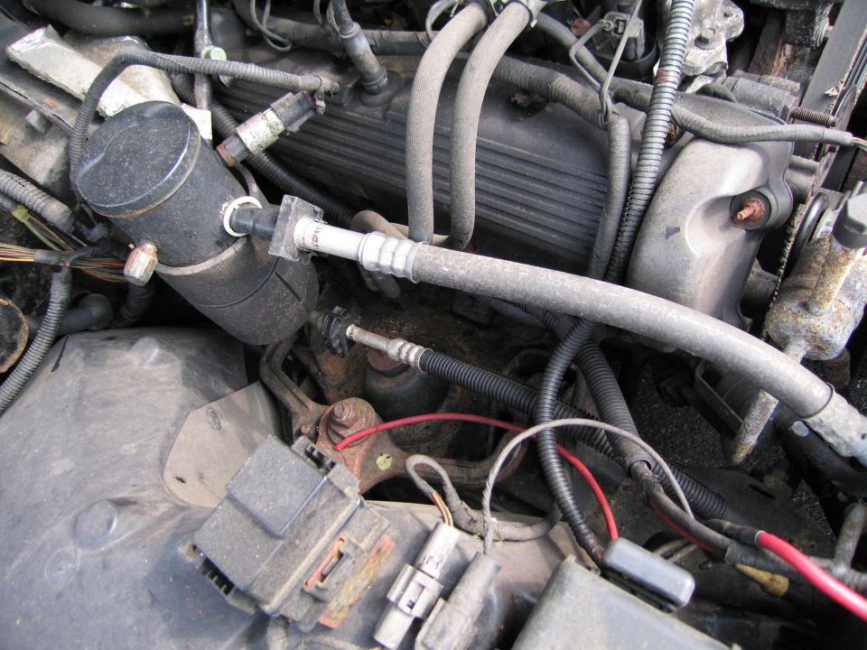 Engine bay with hoses and electrical components visible