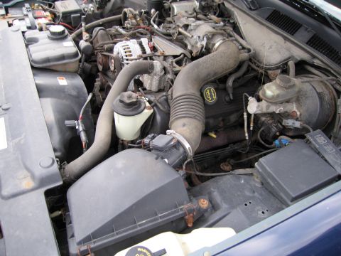 1991 Ford LTD Crown Victoria - Close-up view of a V8 engine bay, showing various components and hoses.