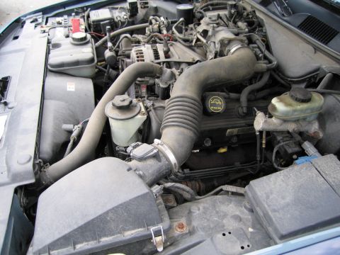 1991 Ford LTD Crown Victoria - The engine bay of a 1991 Ford Crown Victoria LTD is visible, with the V8 engine and associated components clearly depicted.