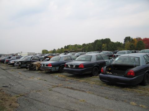 1991 Ford LTD Crown Victoria - Multiple dark blue sedans, including a 1991 Ford Crown Victoria LTD with its trunk open, are parked in a junkyard lot.