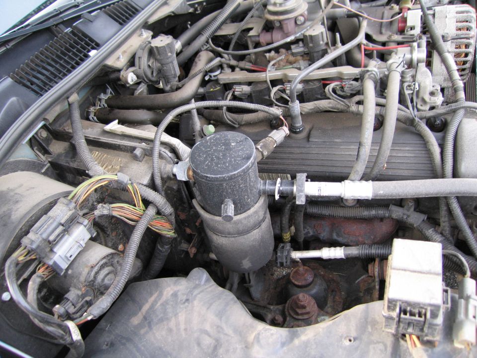 Engine bay with hoses and wiring