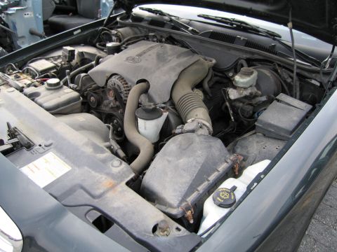 1991 Ford LTD Crown Victoria - The engine bay of a dark green vehicle is visible, with the hood open, revealing the engine and associated components.