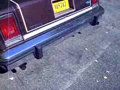 1982 Ford LTD Crown Victoria - Exhaust at the Tailpipes