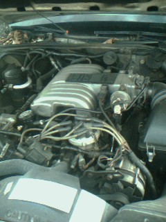 1985 Ford Crown Victoria LTD - 5.0 in the mercury