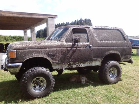 1991 Ford Bronco photo