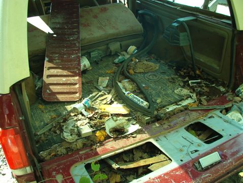 1983 Ford Bronco - Brown's '87 4.9L w/BW T-19