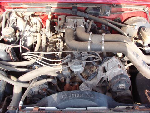 1983 Ford Bronco - Brown's '96 F250 7.5L [url=http://www.supermotors.net/vehicles/registry/media/575334] http://www.supermotors.net/getfile/575334/thumbnail/9…