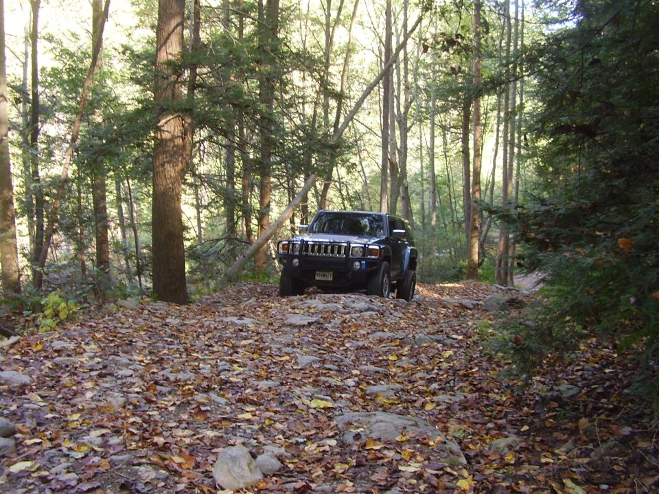 Dark SUV driving on a rocky, leaf-covered forest road. The grille indicates it is a 2006 model