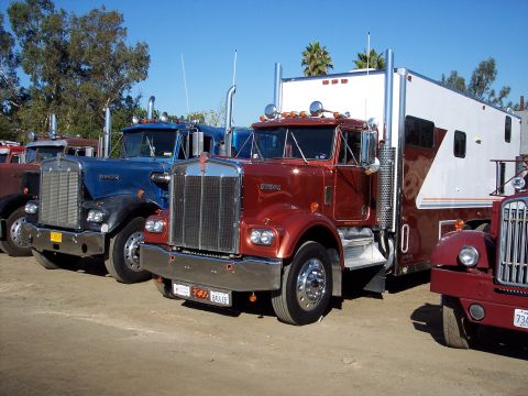 1981 Kenworth W900A - A lineup of classic Kenworth trucks, including a red and a blue model, parked outdoors under a clear blue sky.