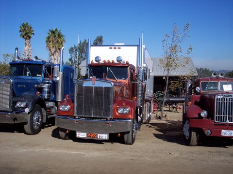 1981 Kenworth W900A - Three semi-trucks are parked in a lot under a clear blue sky. The middle truck is orange and the other two are blue and red.