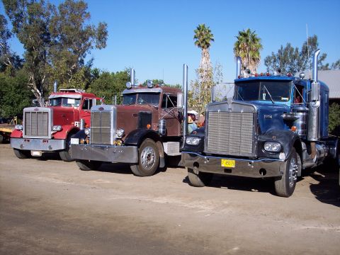 1981 Kenworth W900A - Three classic semi-trucks are parked in a lot under a clear blue sky.