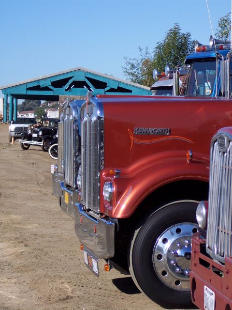1981 Kenworth W900A - Several trucks are lined up, with a red Kenworth W900A prominently in the foreground.