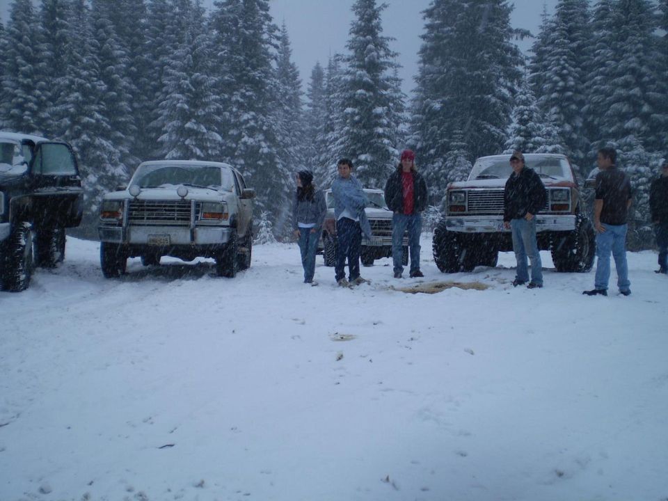 Group of people standing in falling snow beside lifted trucks in a pine forest