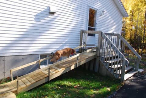 1996 Ford Bronco - A dog uses a wooden ramp to access a house with white siding and a deck.