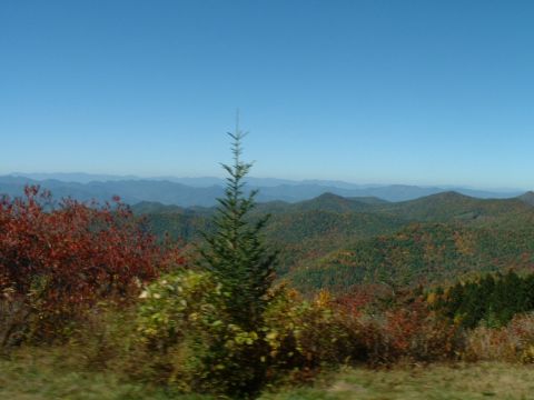 1995 Ford Bronco - Mountain landscape with autumn colors and a clear blue sky. Watermark visible at bottom right.