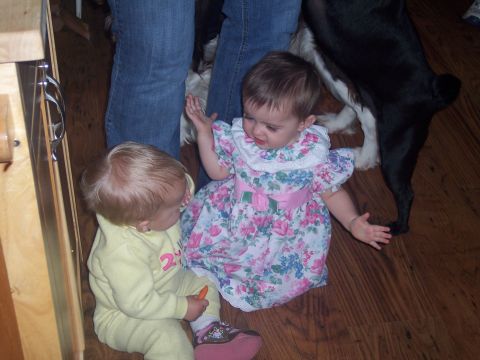 1972 Ford Ranchero - Two babies interact on a wooden floor while a dog stands behind them.