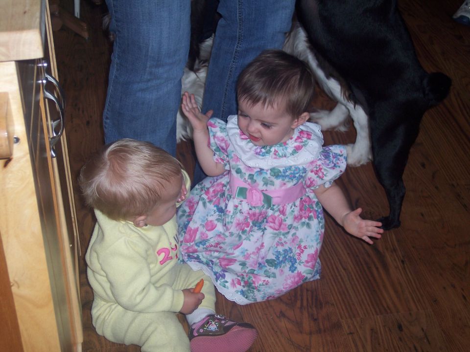 two babies sitting on a wooden floor with a dog behind them