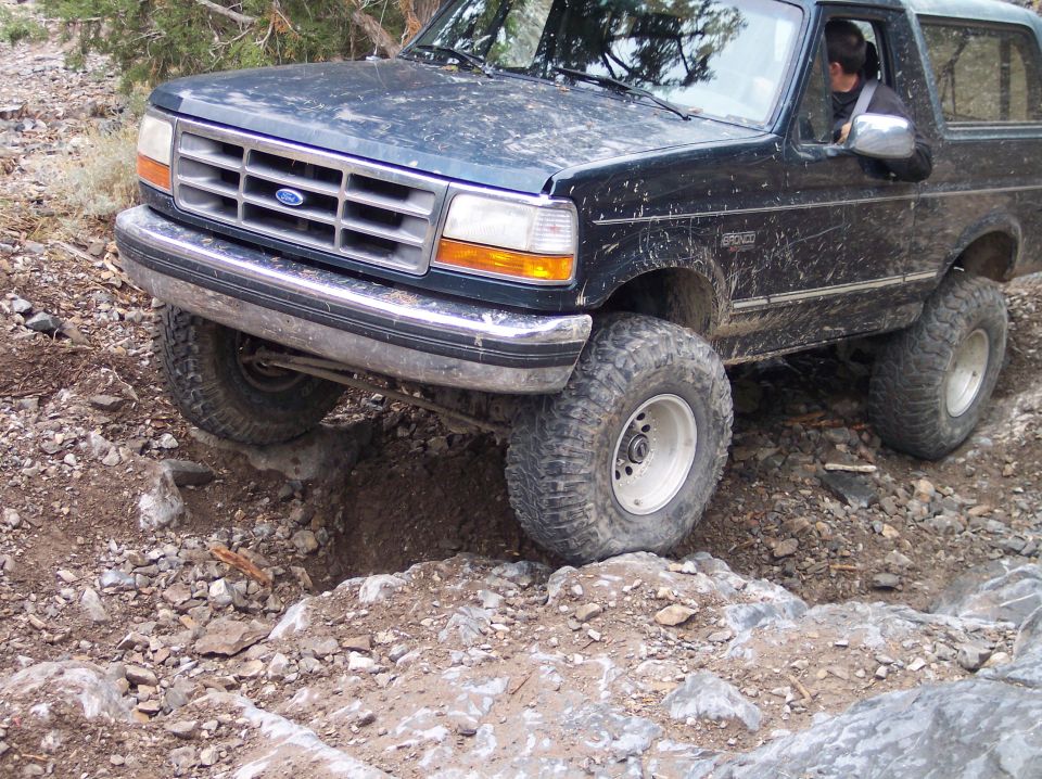 1995 Ford Bronco “mutt”