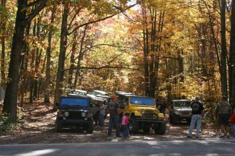 1992 Jeep Cherokee - A group of Jeep Wranglers are parked on a dirt road surrounded by trees with fall foliage.