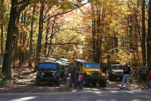 Several Jeep Wranglers parked on a dirt road in autumn woods. One yellow Jeep is in the foreground