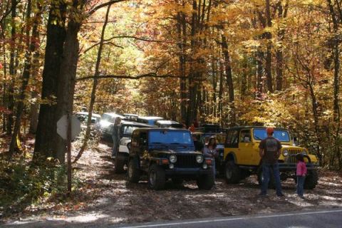 1992 Jeep Cherokee - A group of Jeep Wranglers are parked in a forest during the fall season.