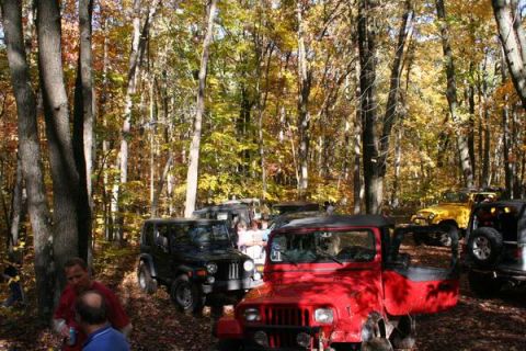 1992 Jeep Cherokee - Multiple Jeeps are gathered in a forest during the fall season, surrounded by colorful autumn leaves.