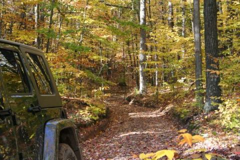 1992 Jeep Cherokee - A dark green Jeep Wrangler navigates a wooded path during autumn, with fallen leaves covering the ground.