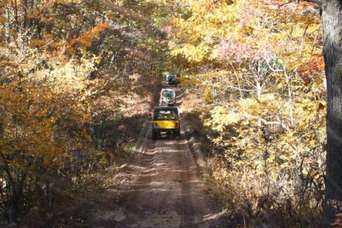 1992 Jeep Cherokee - A convoy of Jeeps navigates a wooded trail during peak autumn foliage.
