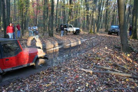 1992 Jeep Cherokee - Several Jeeps navigate a muddy trail through a forest during an off-road excursion.
