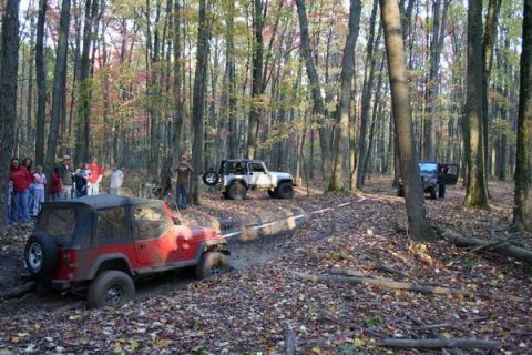 1992 Jeep Cherokee - Multiple Jeeps navigate a wooded trail with fallen leaves, one red Jeep is stuck in the mud.