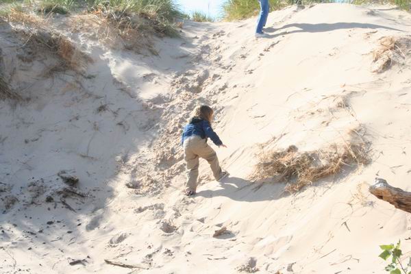 Child climbing sand dune with grass and driftwood