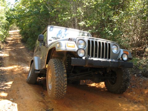 1993 Ford Bronco - The other Jeep had more clearance, and was able to actually drive through the hole...